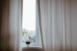 A window with light beige curtains and a small, delicate potted plant